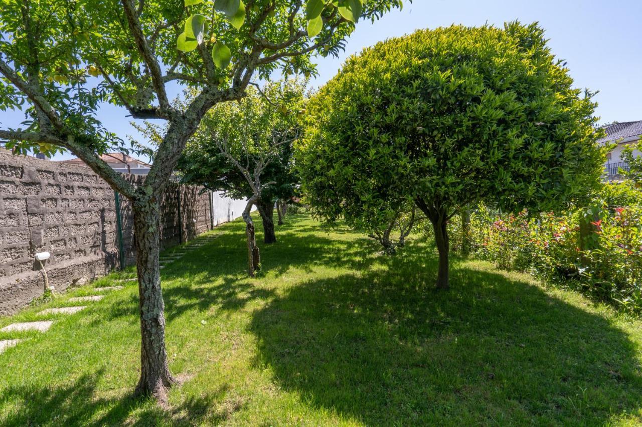 Vila Terra & Mar - Land & Sea Arcozelo  Exteriér fotografie
