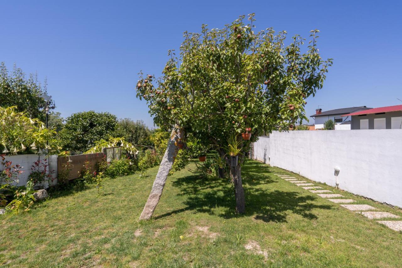 Vila Terra & Mar - Land & Sea Arcozelo  Exteriér fotografie